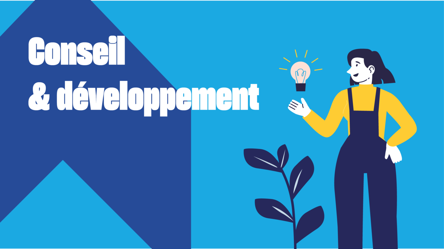 Conseil & développement